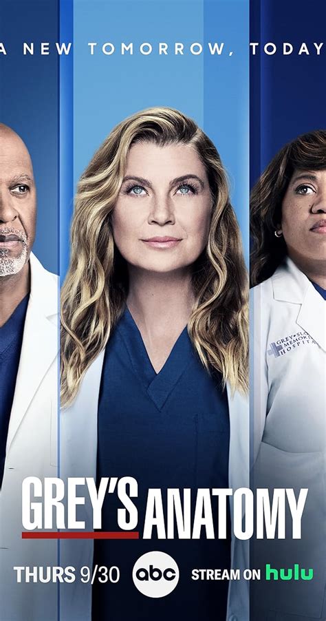 grey's anatomy imdb|imdb grey's anatomy season 3.